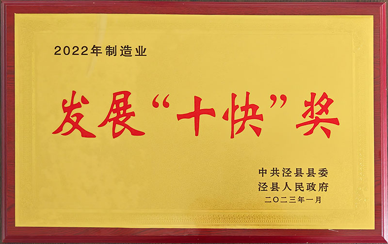 2022年制造业发展“十快”奖