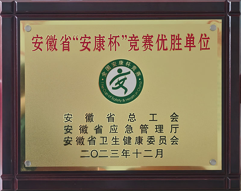安徽省“安康杯”竞赛优胜单位